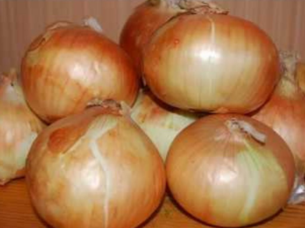 Сорт озимої цибулі, який легко вирощувати