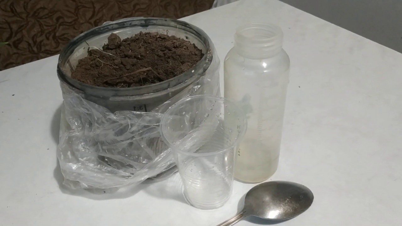 Агрономи розповіли, як дізнатися кислотність ґрунту за допомогою оцту та соди