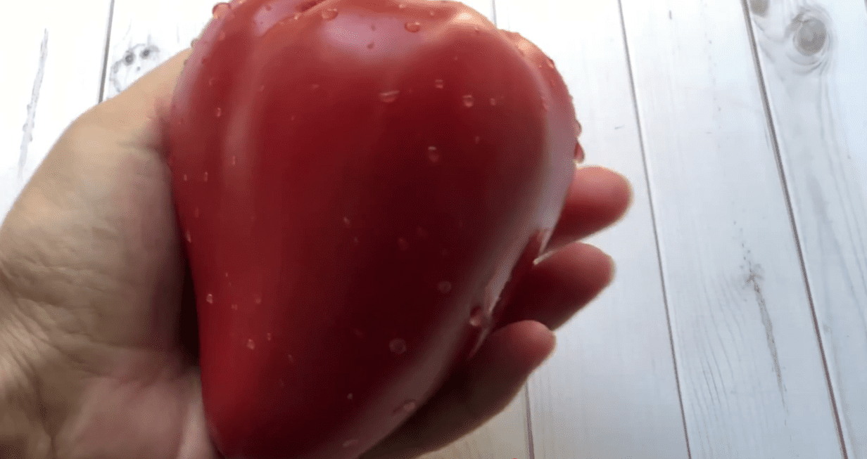 Городники назвали сорти помідорів, які вже багато років у списку чемпіонів