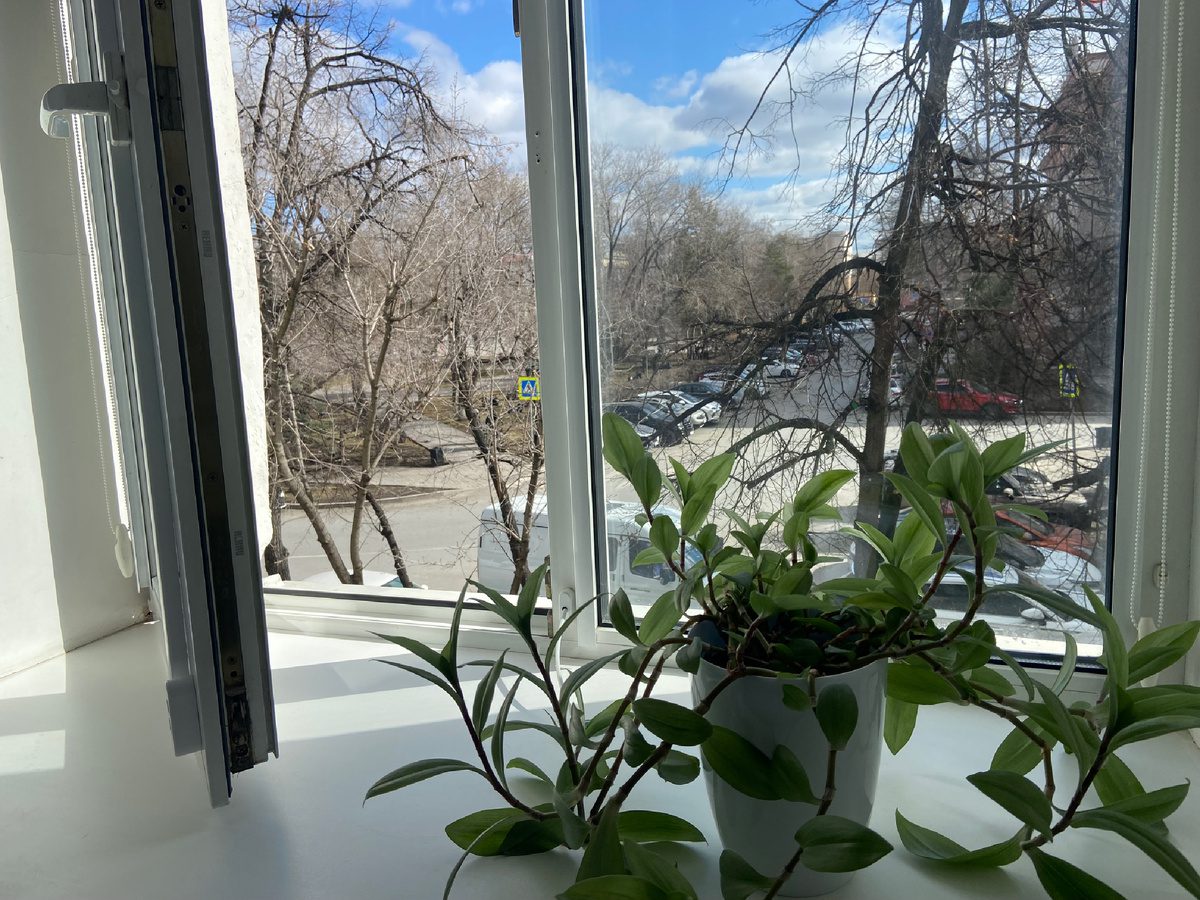 Експерти розповіли, як правильно мити вікна, аби не залишилось розводів і жирних слідів