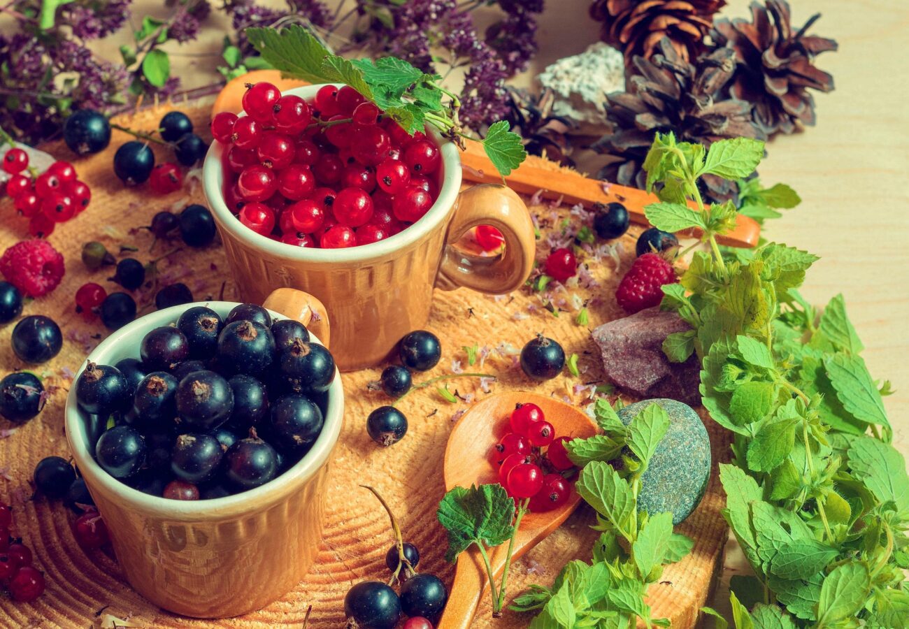 Агрономи розповіли, чим найкраще підгодовувати кущі смородини в листопаді