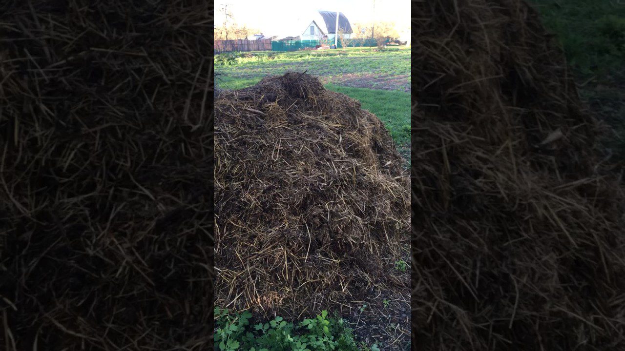 Експерти назвали добрива, які погано переносять зимові холоди