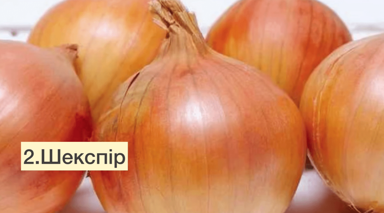 Українські городники назвали 5 найкращих сортів озимої цибулі для всіх регіонів