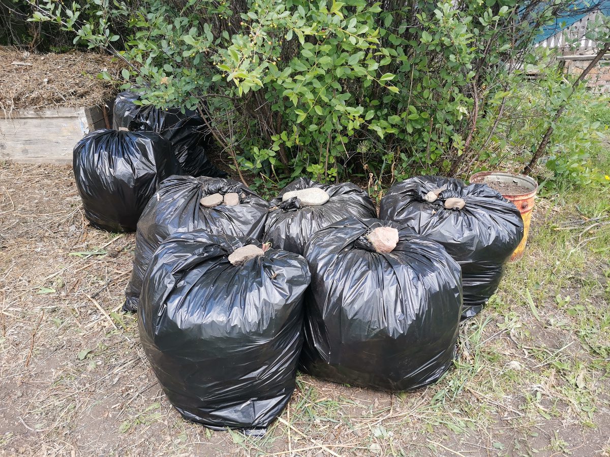 Городники розповіли, чим підживити грядки у листопаді на перспективу