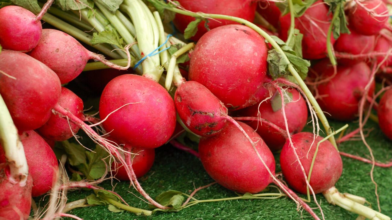 Експерт розповів, коли сіяти редиску цієї осені