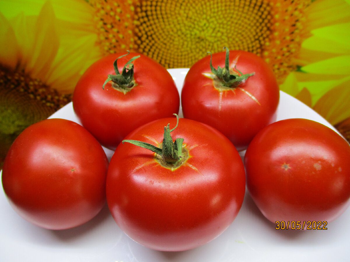 Експерти розповіли, який сорт томатів вирощувати на грядці для отримання щедрого врожаю