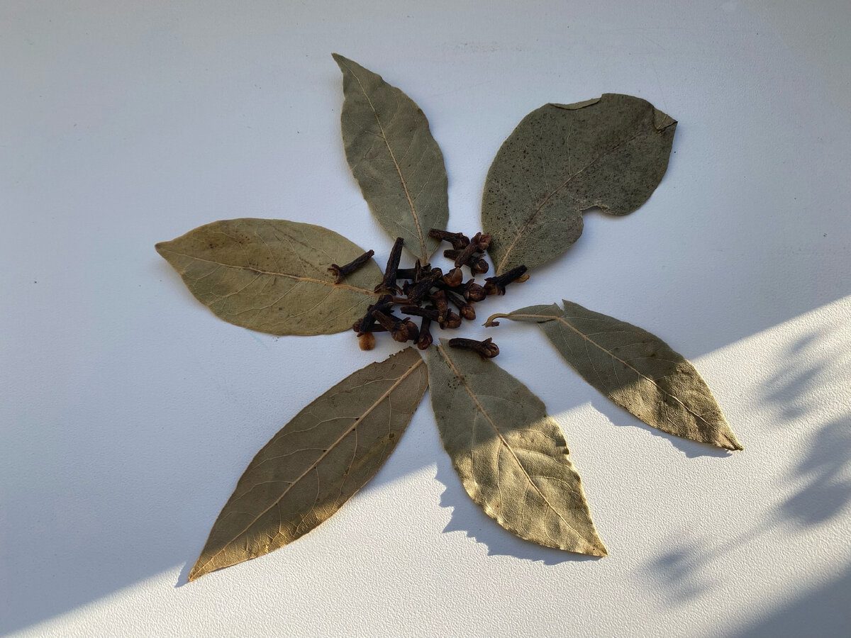 Експерти розповіли, як за допомогою спецій покращити атмосферу вдома та поліпшити настрій