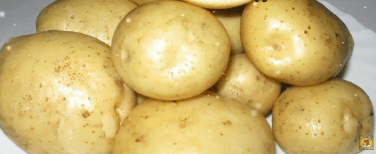 Городники назвали найгірші сорти картоплі 2025 року