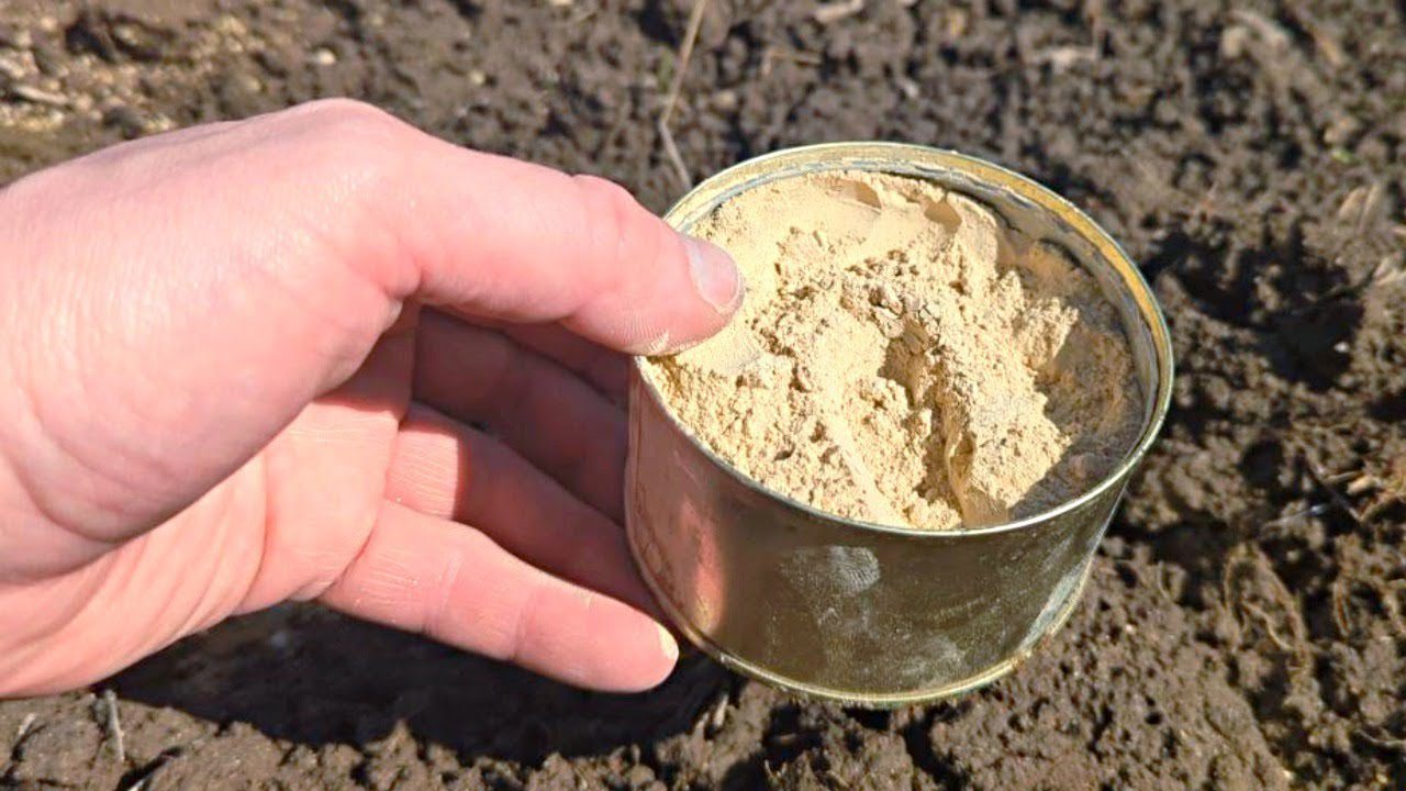 Агрономи назвали простий метод, який здатний оживити навіть найтвердішу землю