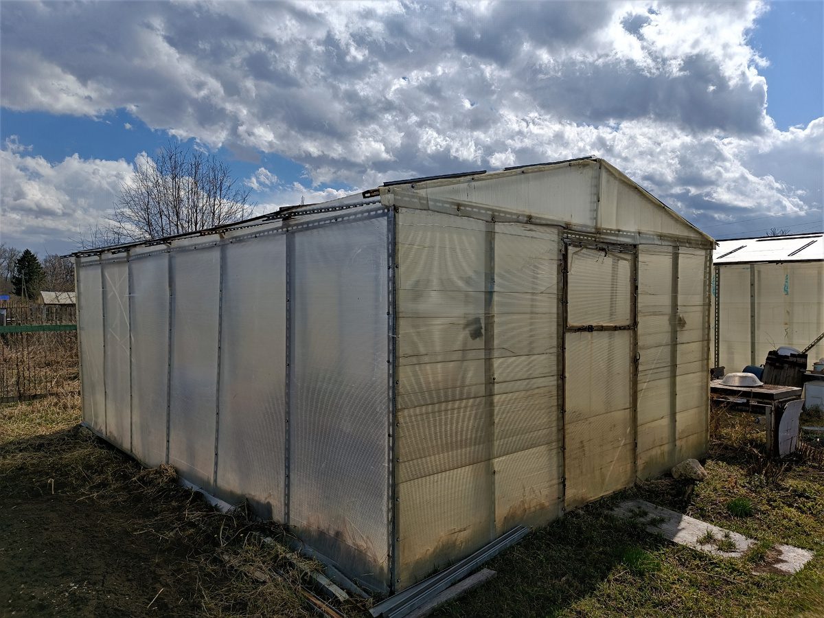 Експерти порадили доступний спосіб, як підготувати теплицю до вирощування розсади