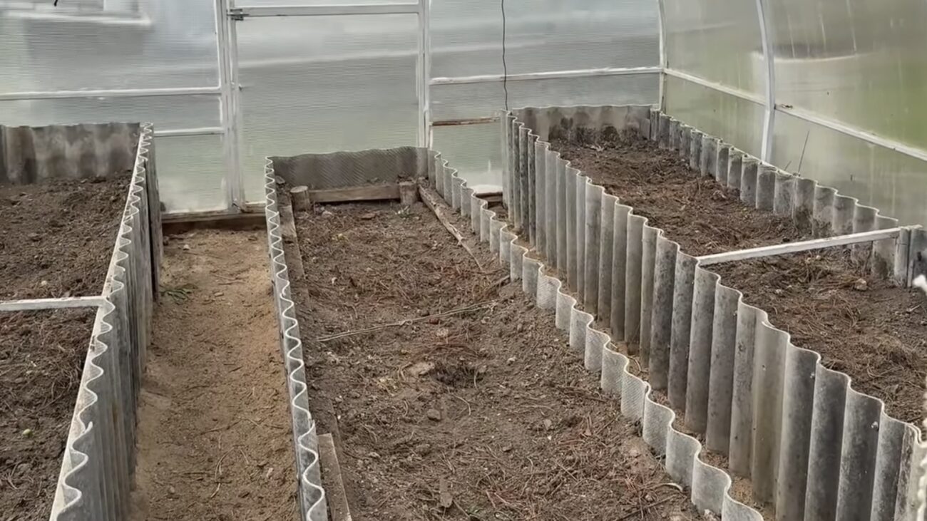 Городники розповіли, що внести у ґрунт у теплиці в листопаді 