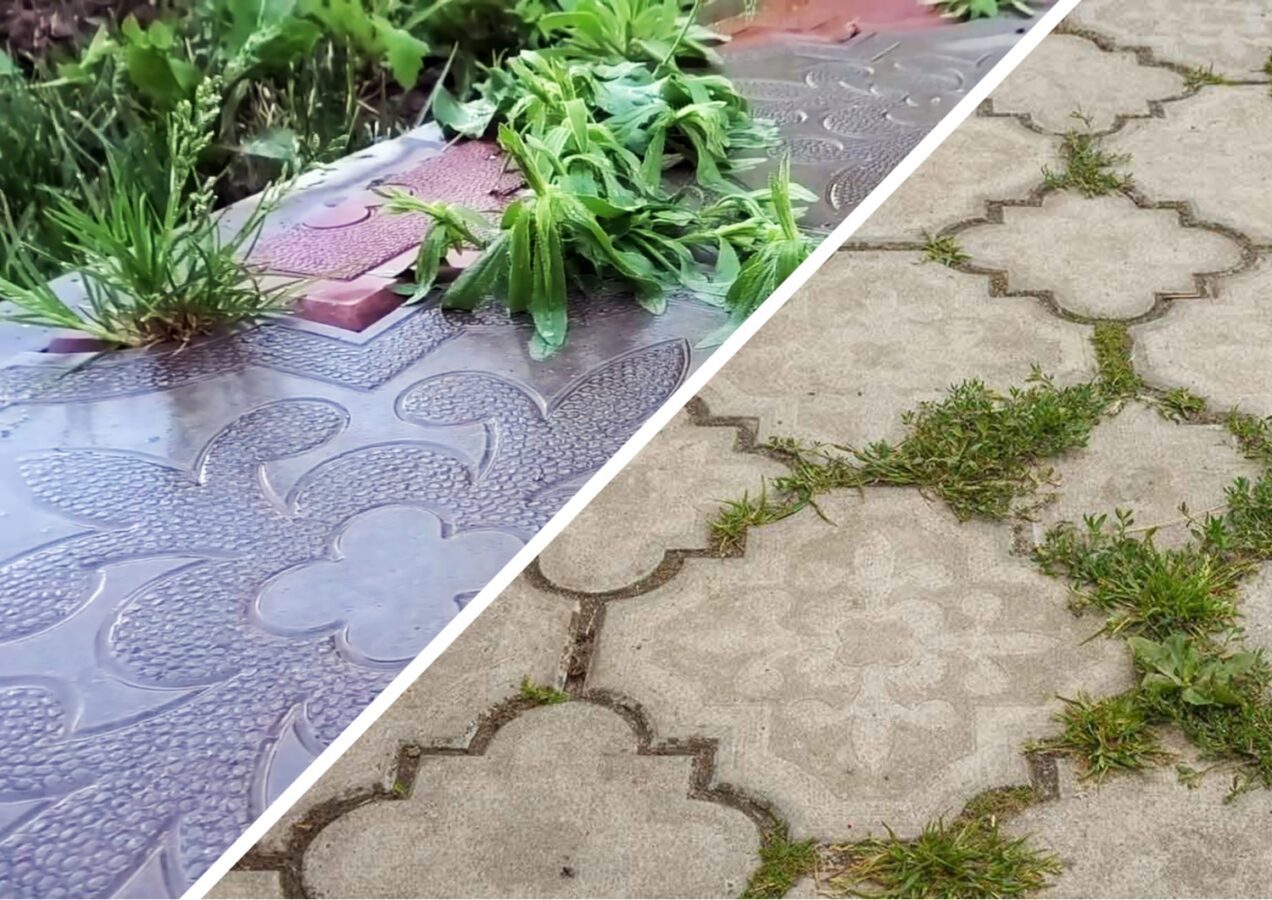 Городники розповіли, як знищити бурʼяни за допомогою окропу 