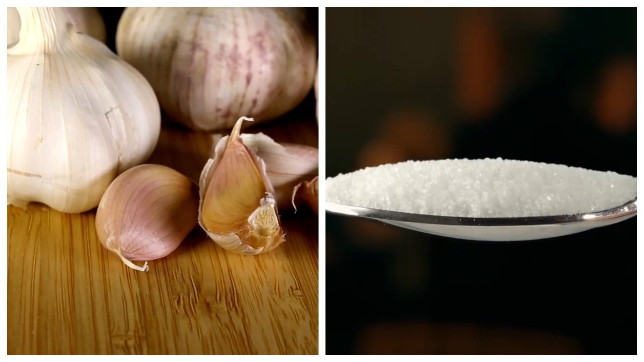 Експерти розповіли, як правильно робити підзимові посіви 