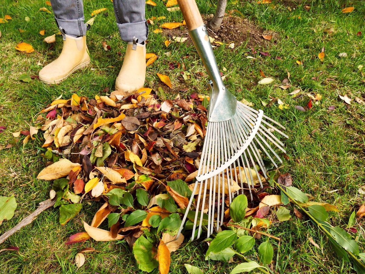 Експерти розповіли, як зробити якісний компост з опалого листя