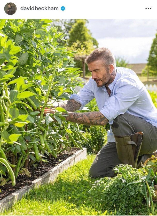 Девід Бекхем у своєму саду / © Instagram Девіда Бекхема