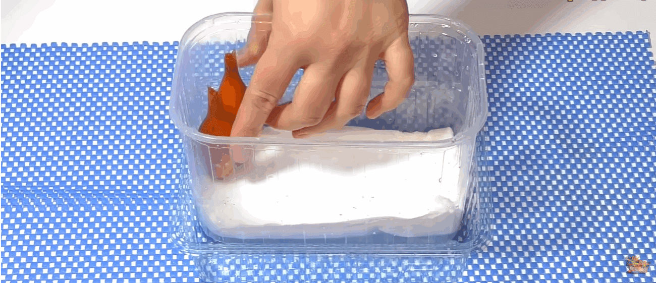 Як виростити зелену цибулю на підвіконні за 20 днів: без землі та бруду