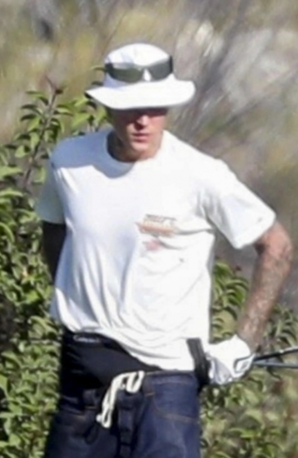 8325_image_5.png (593.38 Kb)