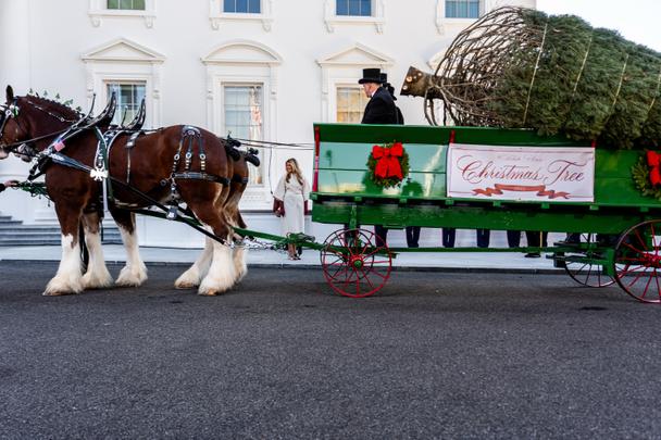 Меланія Трамп / © Associated Press
