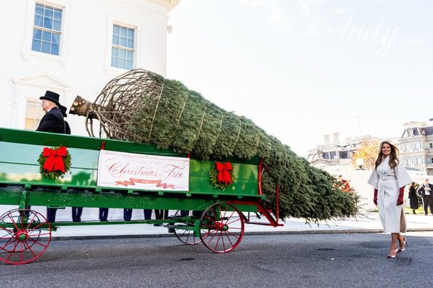 Меланія Трамп / © Associated Press