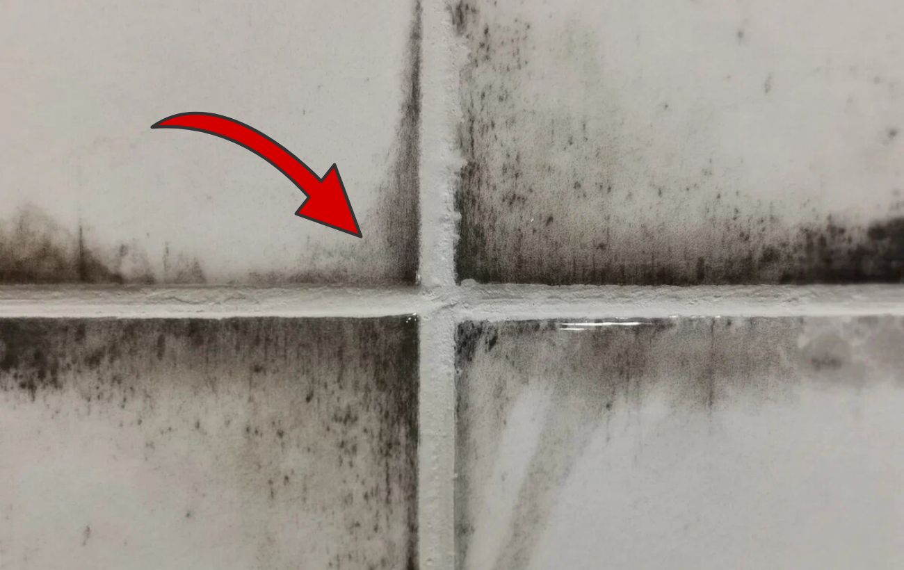 Господині розповіли, як позбутися плісняви у ванній кімнаті 