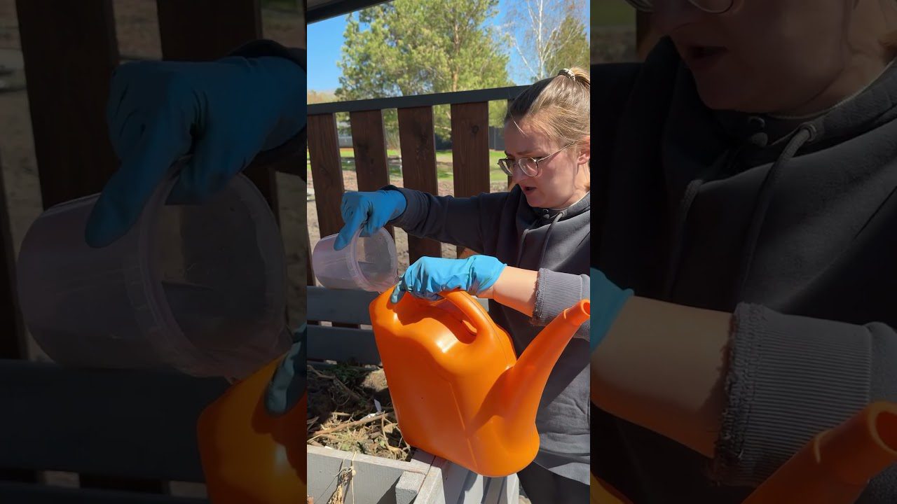 Експерти розповіли, як пришвидшити дозрівання компосту взимку