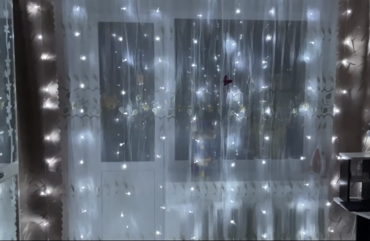 Господині розповіли, яка гірлянда чудово світить під час відключень світла