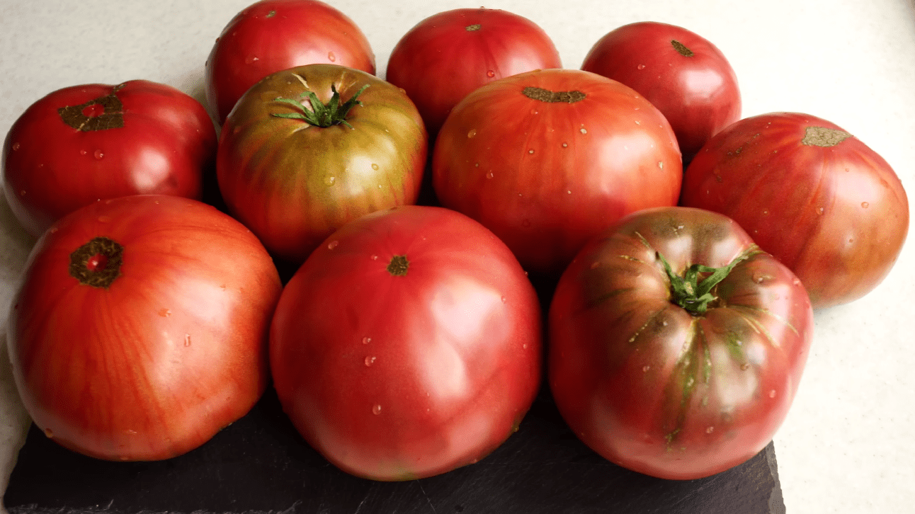 Садівники назвали сорт помідорів із найбільш насиченим смаком