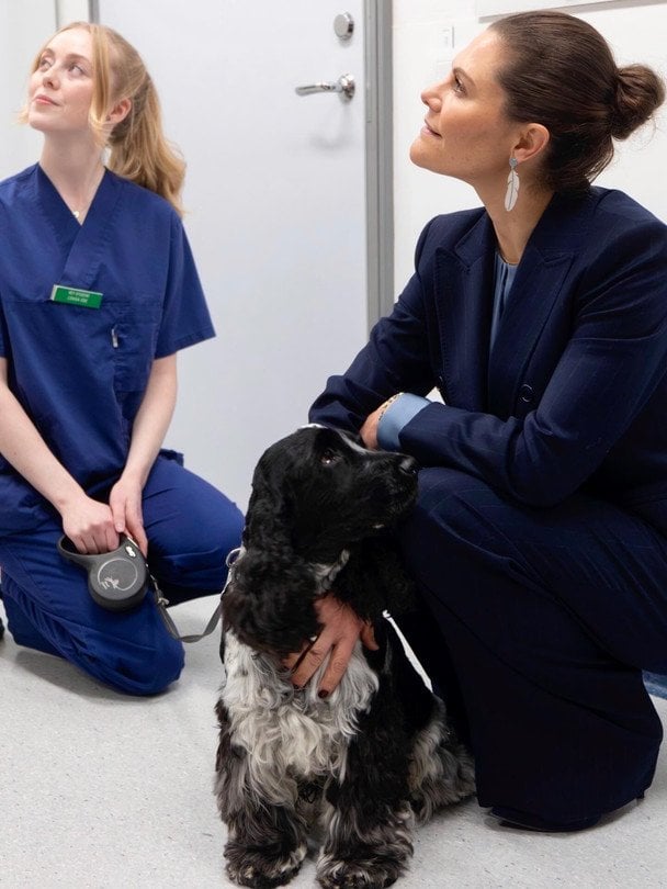 Кронпринцеса Вікторія / © Шведська королівська родина/Instagram