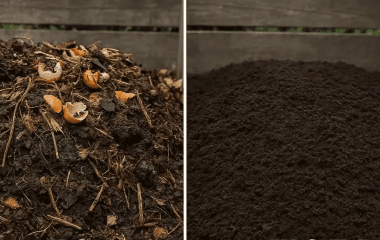 Експерти розповіли, як пришвидшити перегнивання компостної купи