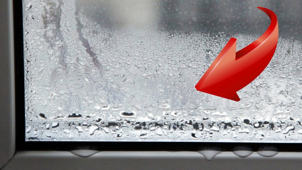 Господині розповіли, як швидко позбутися конденсату на вікнах 