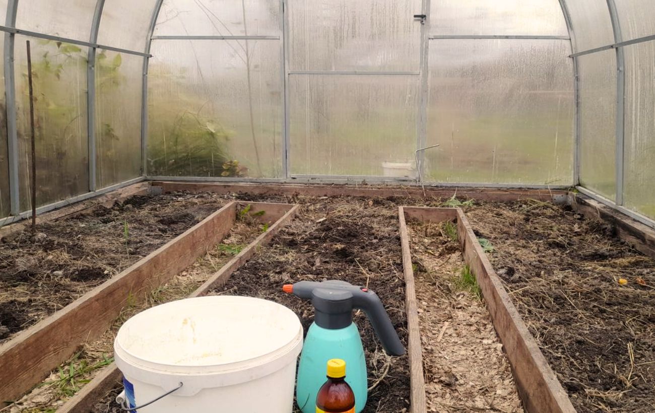 Городники розповіли, чим удобрювати ґрунт у теплиці, щоб не змінювати його  