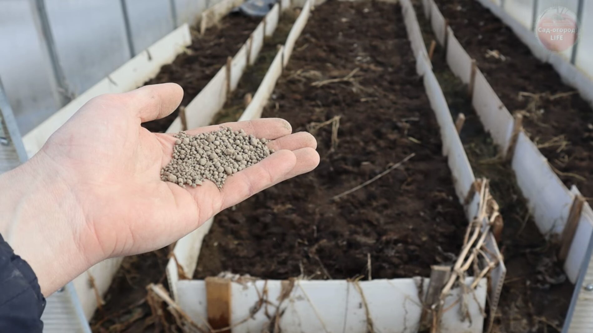 Експерти розповіли, які справи варто зробити на ділянці у грудні