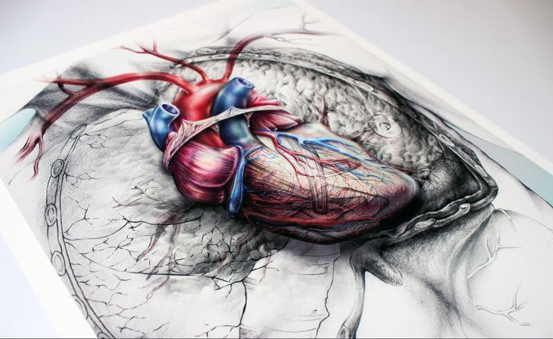 М'ясо і хронічні захворювання