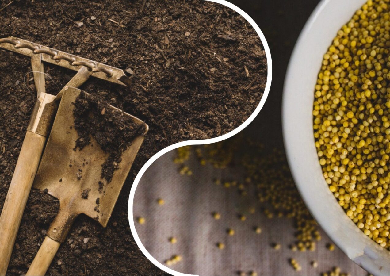 Господині розповіли, як можна ефективно використати відсирілі крупи 