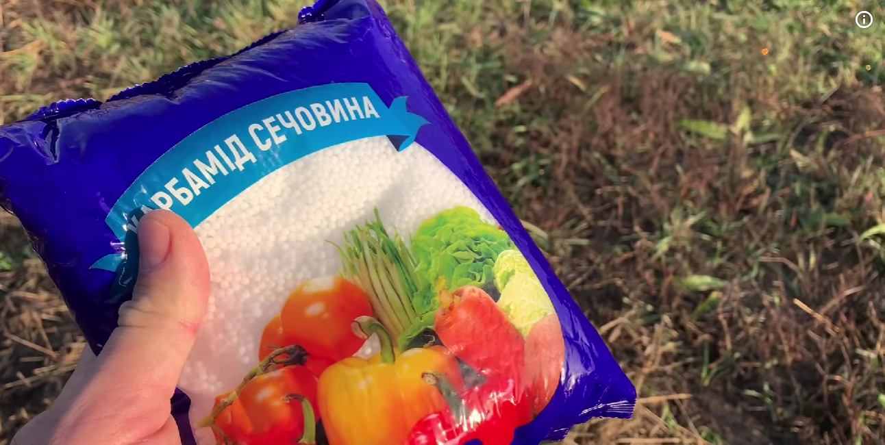 Городники докладно розповіли про пізньоосінню обробку саду у 2025 році