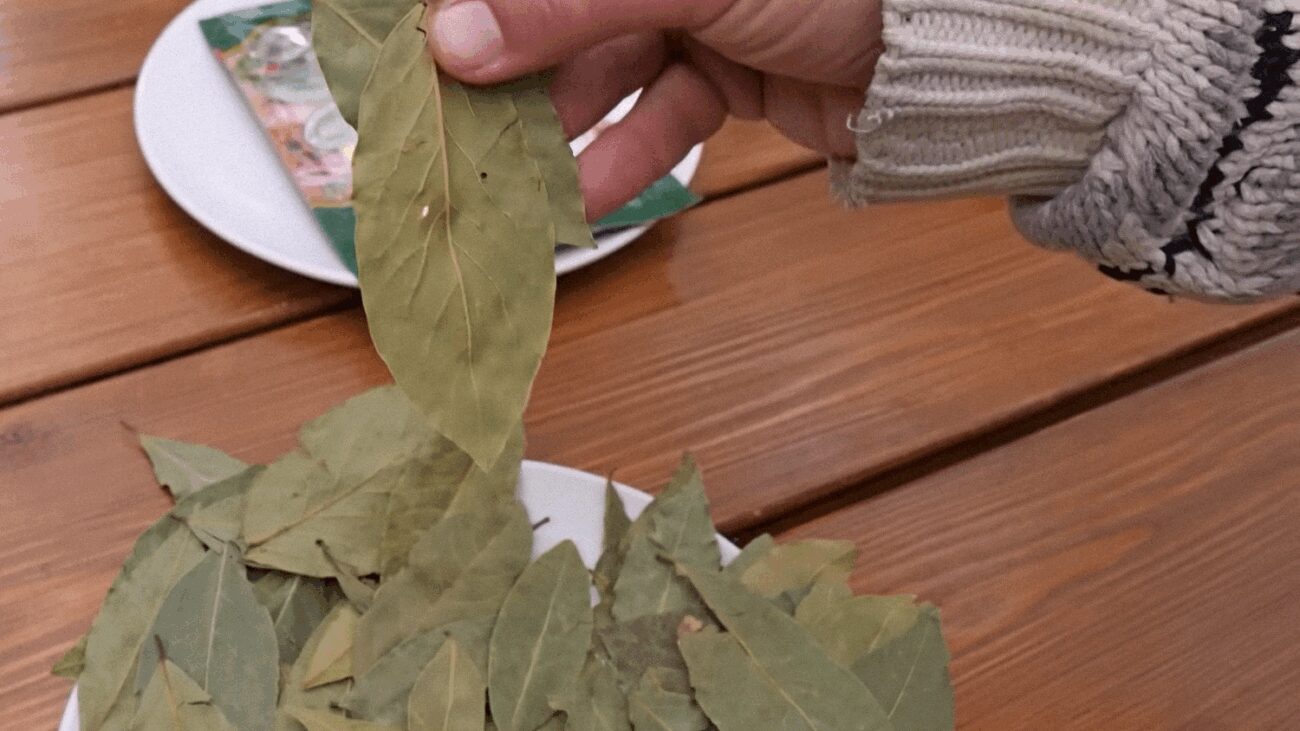 Господині розповіли, навіщо класти лавровий лист у взуття 