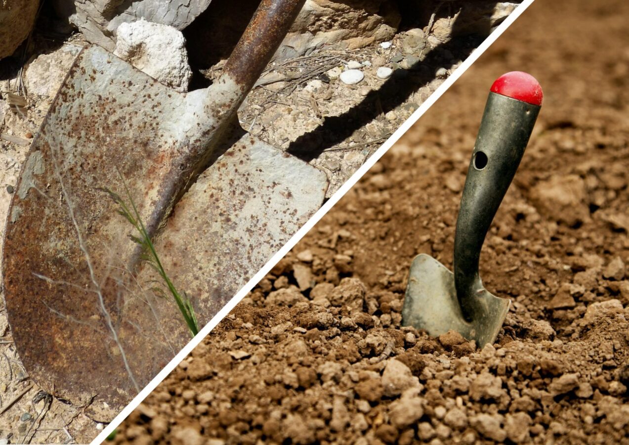 Городники розповіли, як захистити садові інструменти від іржі 