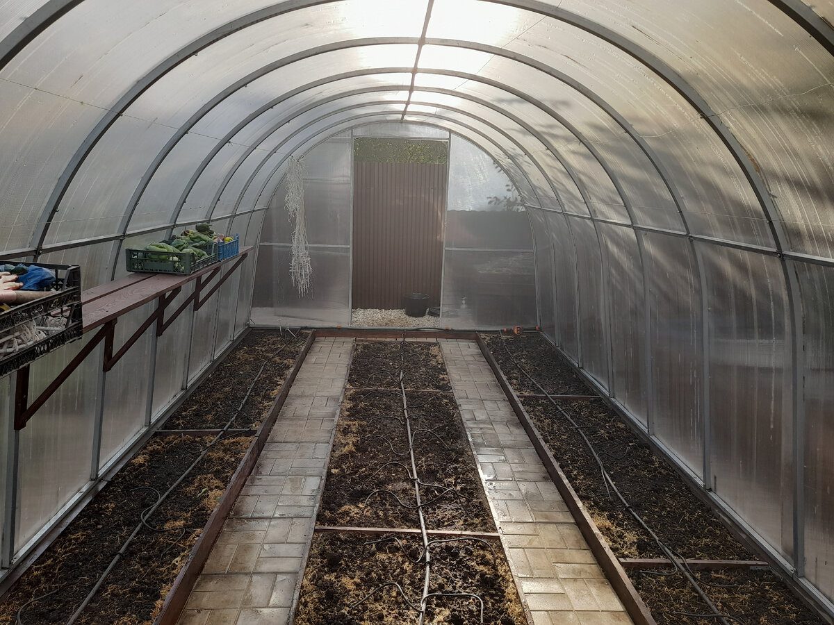 Експерти розповіли, як покращити родючість землі на городі