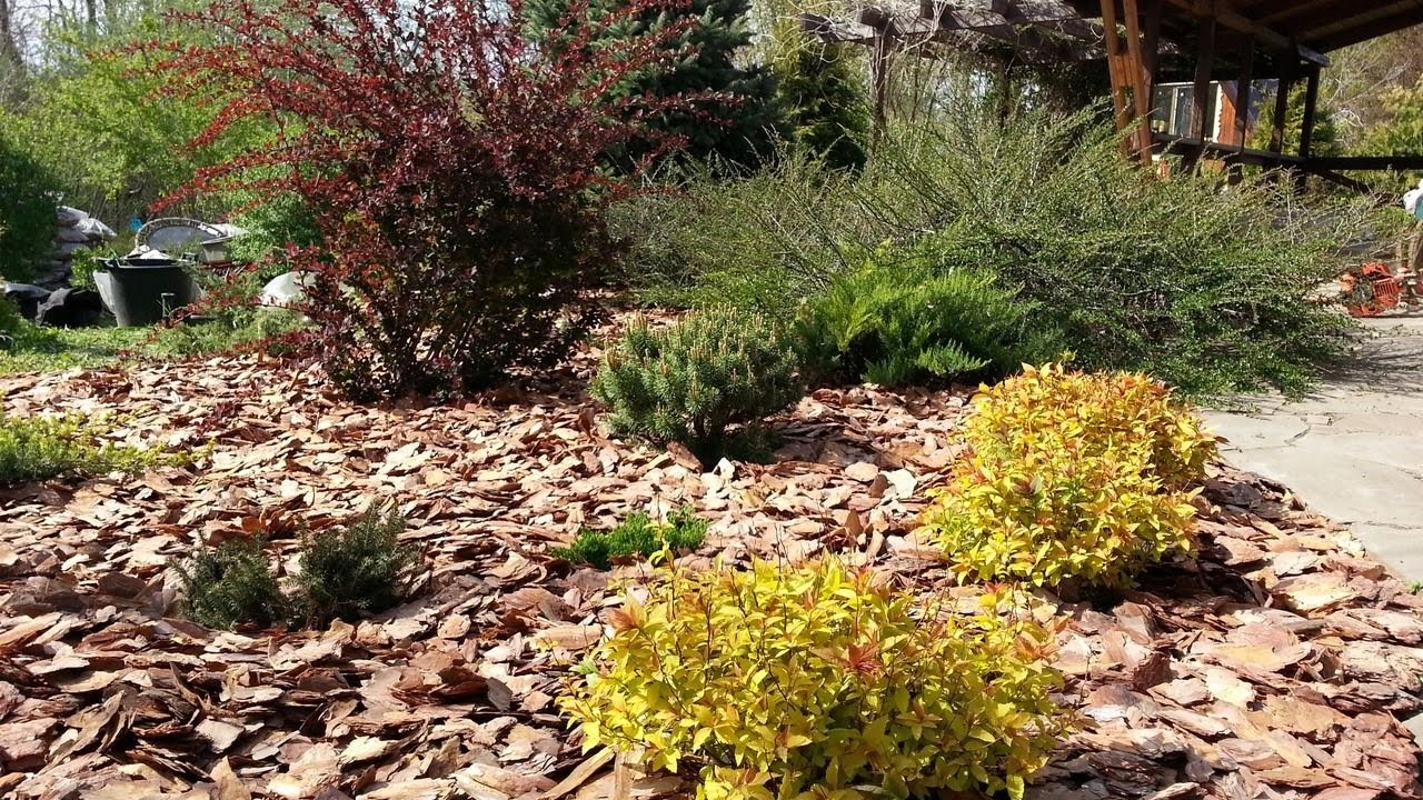 Експерти розповіли, що таке жива мульча і навіщо потрібна