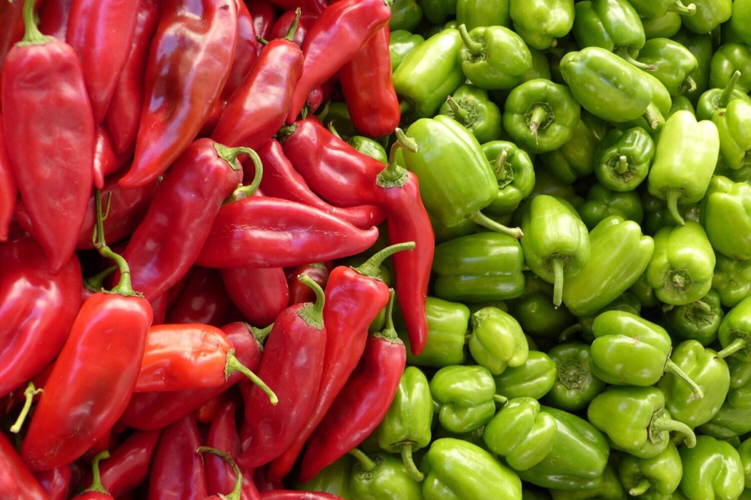 Агрономи розповіли, які сорти перцю стійкі до спеки й холоду – високоврожайні