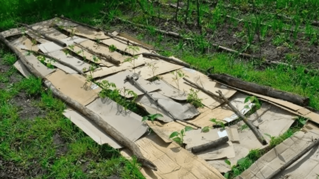 Городники розповіли про безплатний інструмент для захисту ґрунту