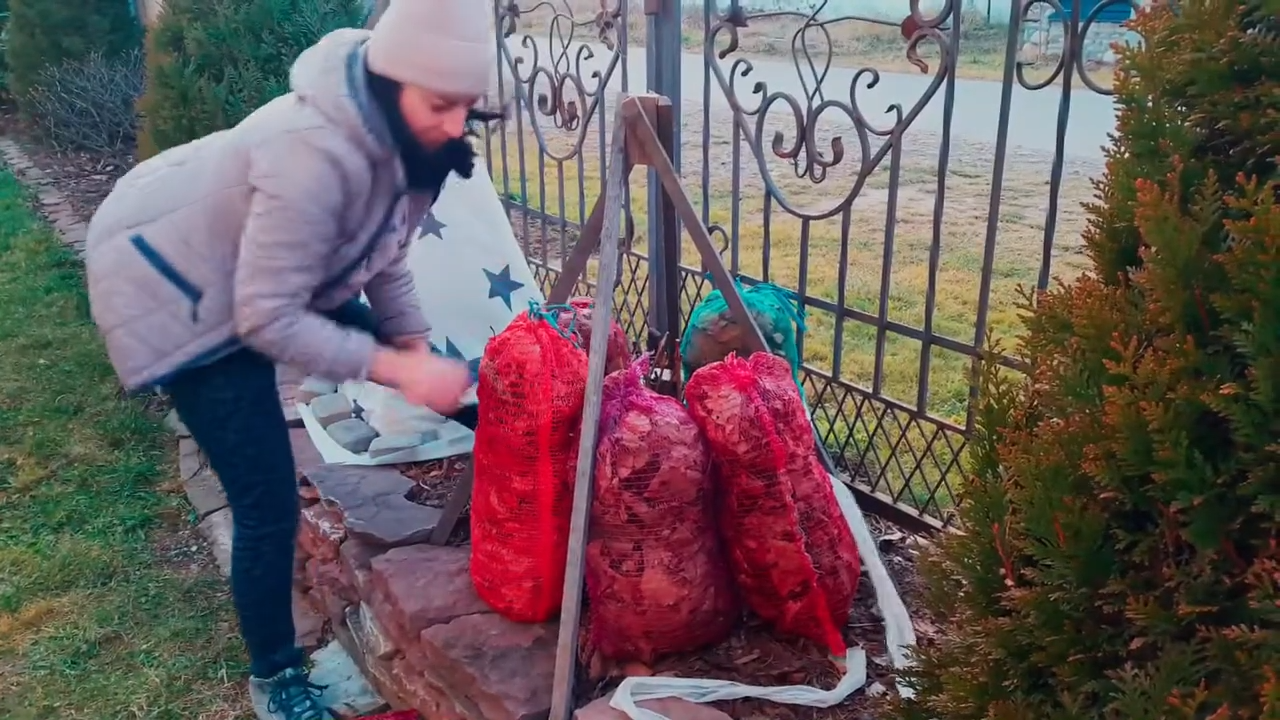 Квітникарі розповіли про ефективні способи укриття гортензії на зиму