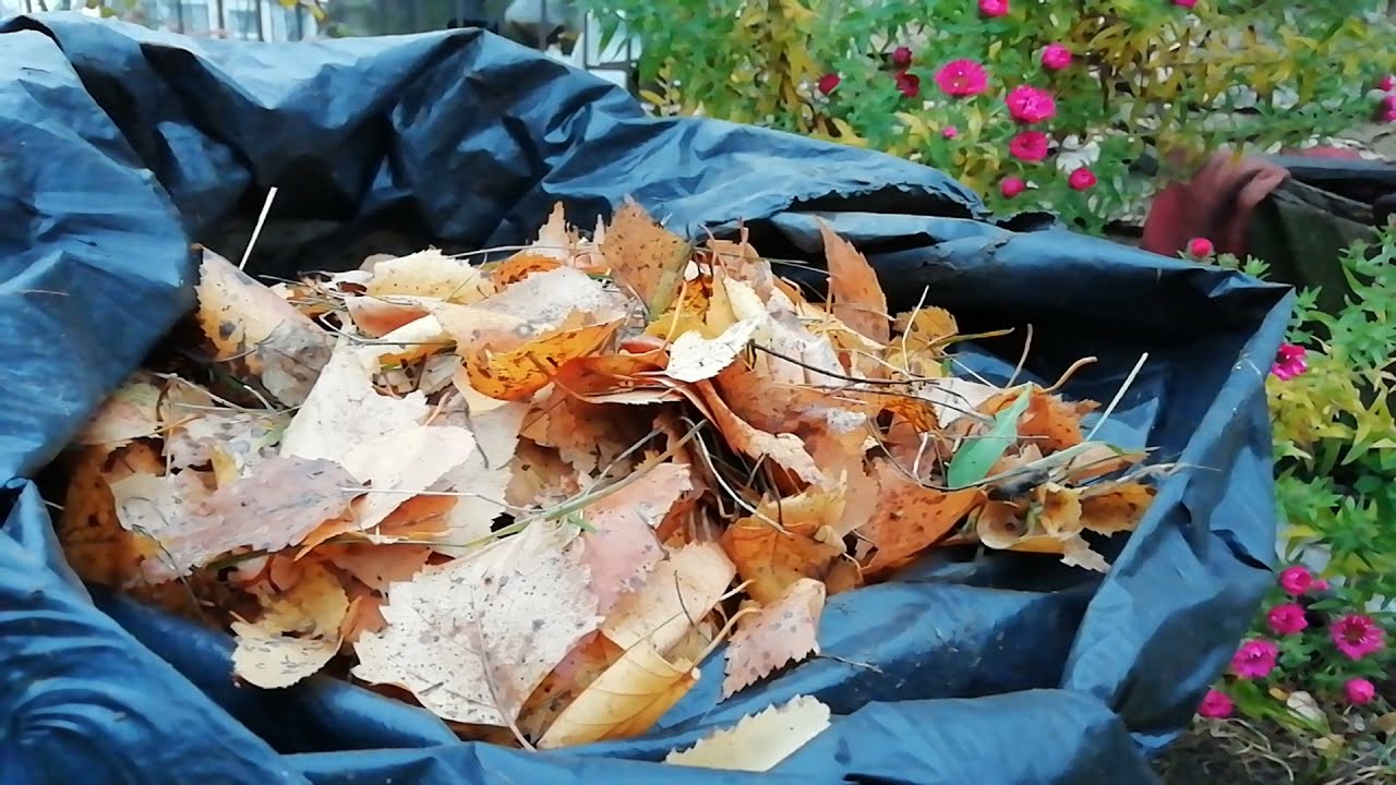 Як перетворити купи сухого листя на родючий ґрунт 