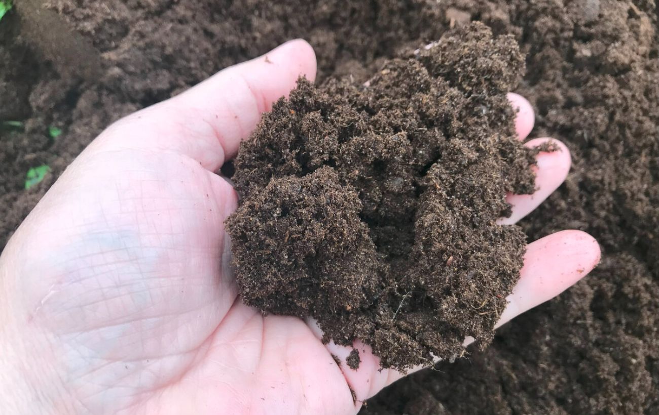 Городники розповіли, чим удобрити город у листопаді, щоб земля була родючою