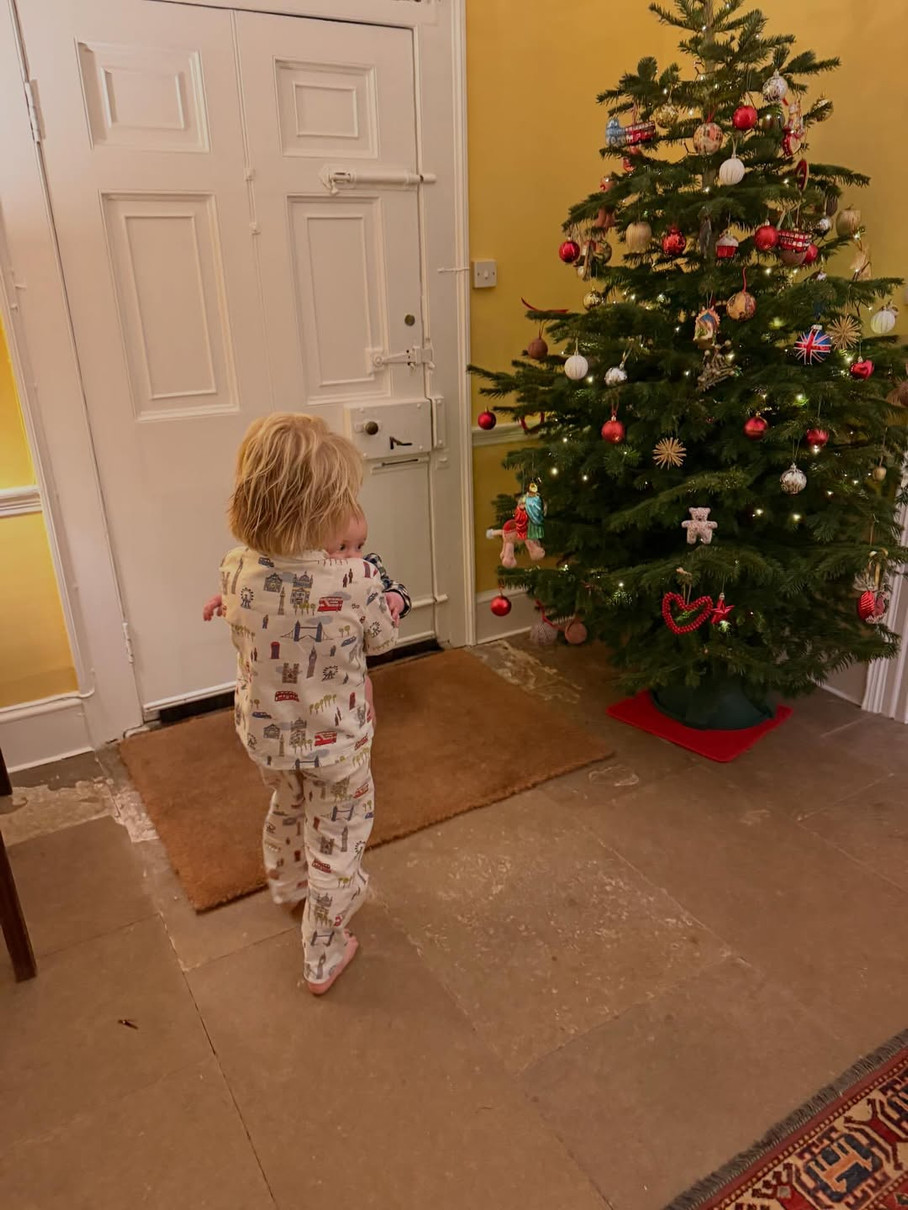 Дружина Джонсона показала новорічну ялинку і дітей