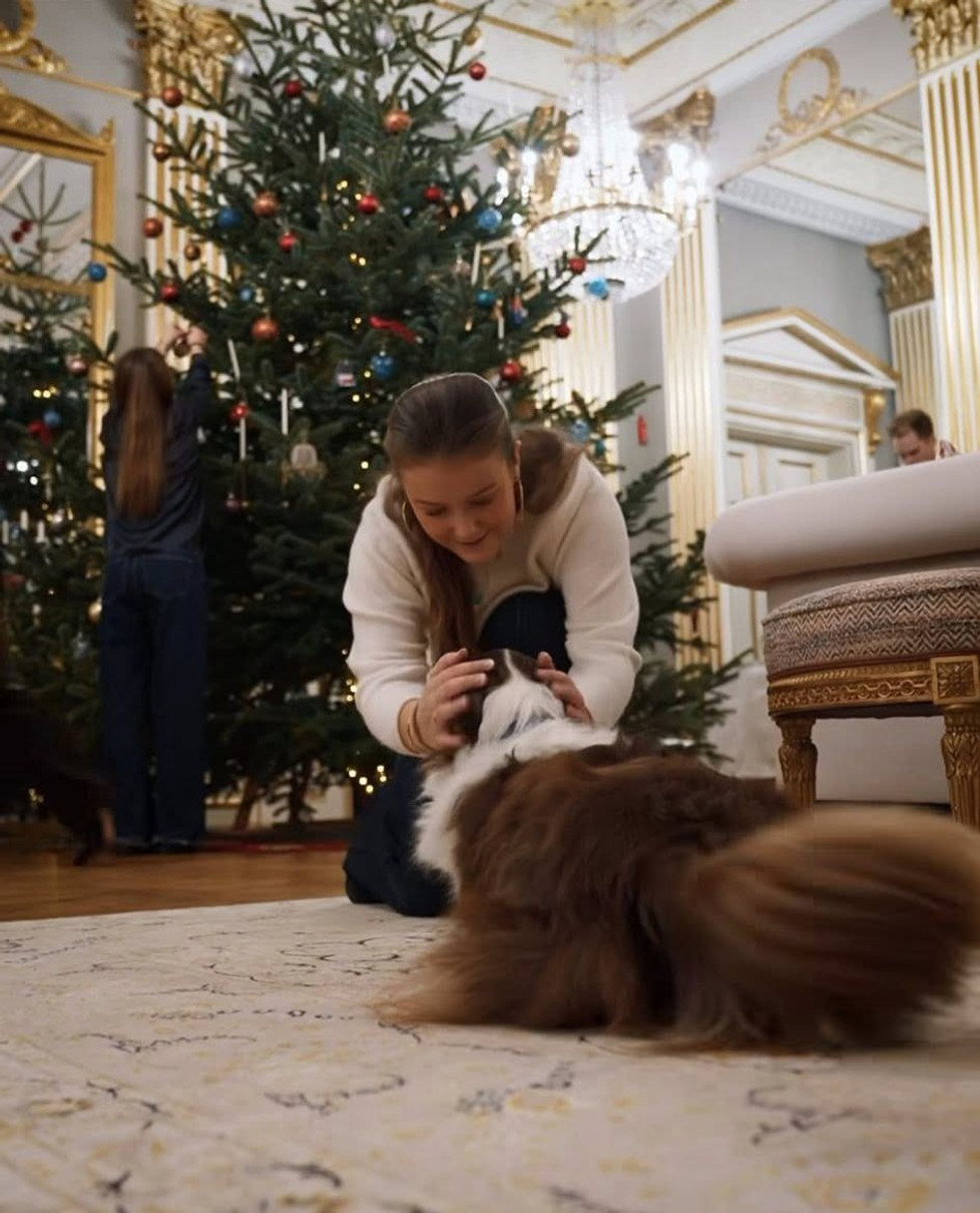 Песик допомагав як міг