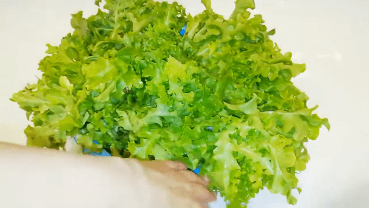 Експерти розповіли, як виростити взимку соковитий салат