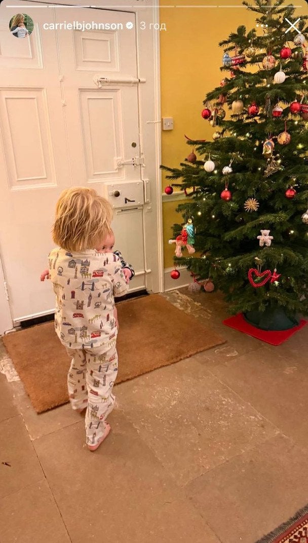 Діти Бориса і Керрі Джонсонів / © Instagram Керрі Джонсон