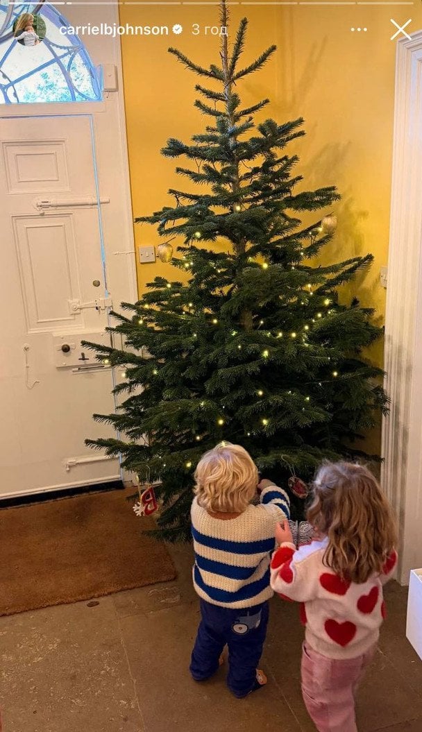 Діти Бориса і Керрі Джонсонів / © Instagram Керрі Джонсон