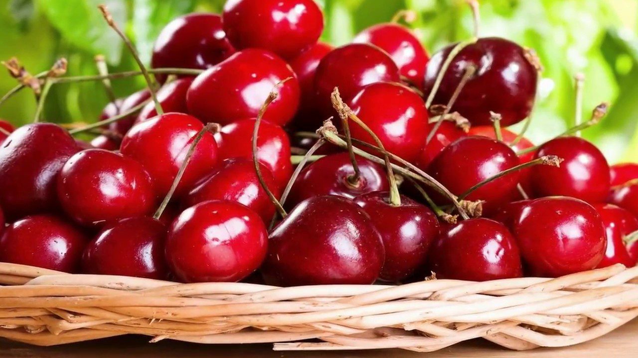 Агрономи розповіли, чим і коли підживлювати вишню та черешню для щедрого врожаю 